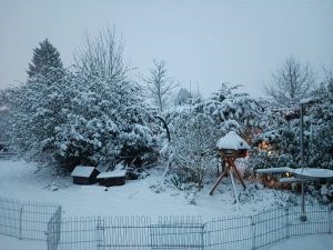Schnee im Garten