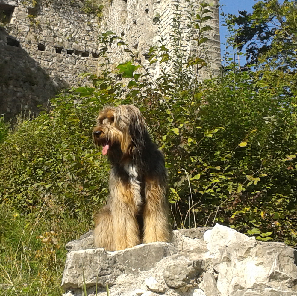 Ophelia von den Rißauen