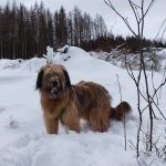 Bild1