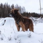 Bild3