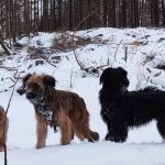 Bild4