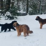 Bild5