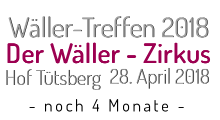 Noch 4 Monate bis zum Wällertreffen 2018