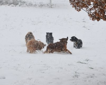 Wichtel Wanderung im Schnee