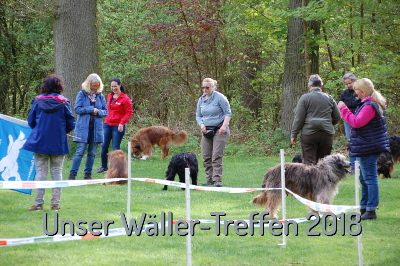 Unser Wäller-Treffen 2018