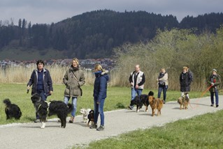 Regionalgruppe Süd beim Wandern Regionalgruppe Süd beim Wandern