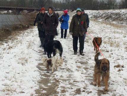 Winterwanderung der Regio-Süd durch Münchens Süden