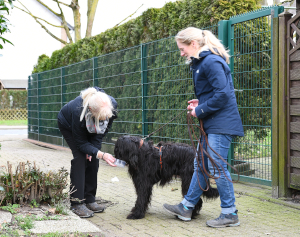 Pepper und Katja beim Mantrailing
