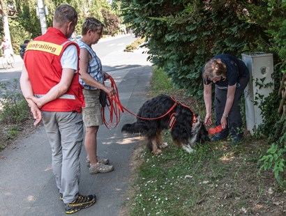 Trainer und Gespann am Trailen