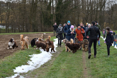 Bild6