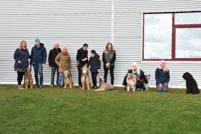 Bild9