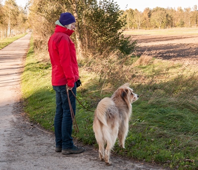 Silke Käning mit Angus (Omid) von der Villa Kunterbunt beim Scannen