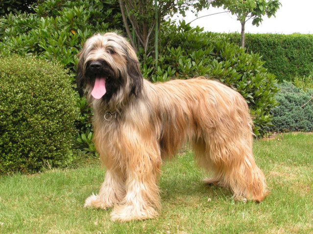 Baxter