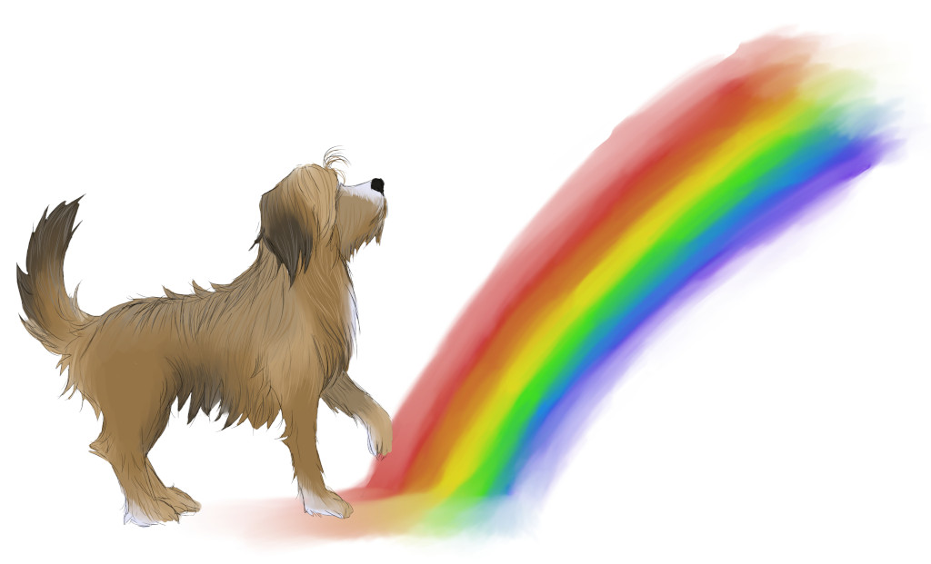 RegenbogenWäller Site